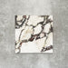 Close-up of Divine Viola matt marble-effect tile in a 30cm x 30cm format, featuring a crisp white background with dramatic burgundy, plum and charcoal veining. Inspired by luxurious natural marble, the striking contrast and rich colour variation make it ideal for statement chequerboard floors, feature areas and elegant interior schemes.
