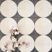 Nahaufnahme der Eclipse Lunar Dekorfliesen im Terrazzo-Look im Format 20 × 20 cm in sanften Creme- und Anthrazittönen, mit geometrischen Kreisdesigns und gesprenkelten Details, kombiniert mit zarten rosa floralen Akzenten.