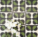 Abstrakter Illusion Verde Noir Musterfliese im Format 20 × 20 cm, in einem wiederholten Raster dargestellt, um das markante Design mit optischer Illusion zu präsentieren. Tiefschwarze und sattgrüne, geschwungene Formen stehen im Kontrast zu einem sanften, neutralen Hintergrund und schaffen ein ausdrucksstarkes Muster mit starker Wirkung – ideal für Akzentwände, Bodenflächen oder dekorative Küchenrückwände.