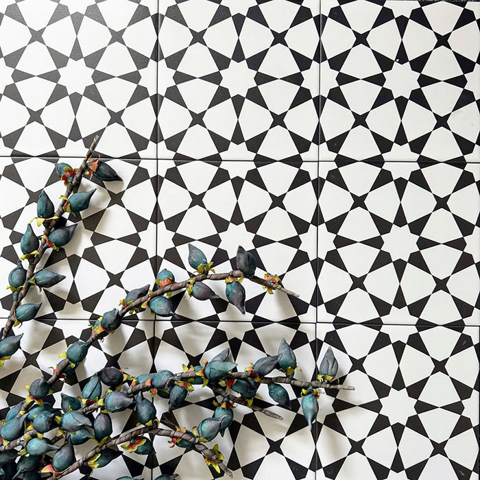 Agadir Schwarz & Weiß Fliesen im marokkanischen Stil im Format 20 × 20 cm aus Feinsteinzeug, verlegt in einem sich wiederholenden geometrischen Sternmuster. Mit Pflanzen dekoriert, um den starken Schwarz-Weiß-Kontrast und die feinen Details hervorzuheben.